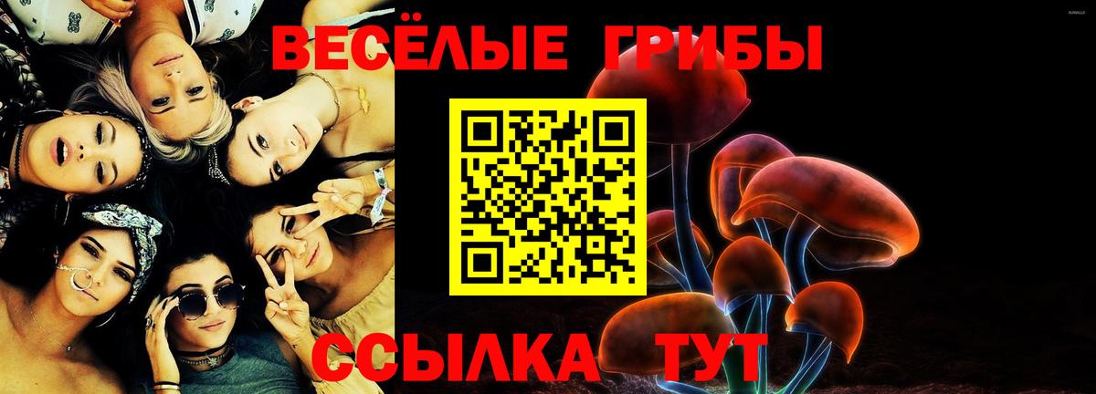 Псилоцибиновые грибы MAGIC MUSHROOMS  Галлюциногенные грибы Cubensis  Нижний Новгород  Вход с VPN 